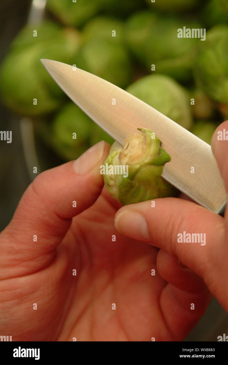 prepare brussel sprout Stock Photo Alamy