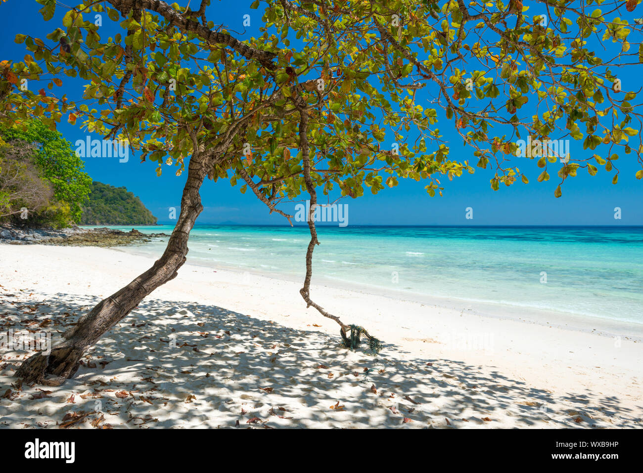 Beautiful beach at tropical island Stock Photo