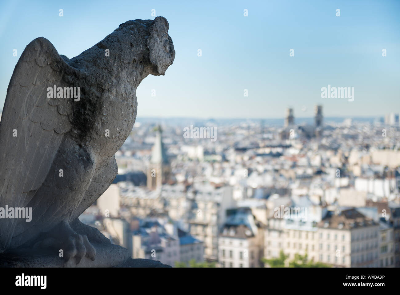 Gargoyle statue on Notre Dame de Paris Stock Photo Alamy