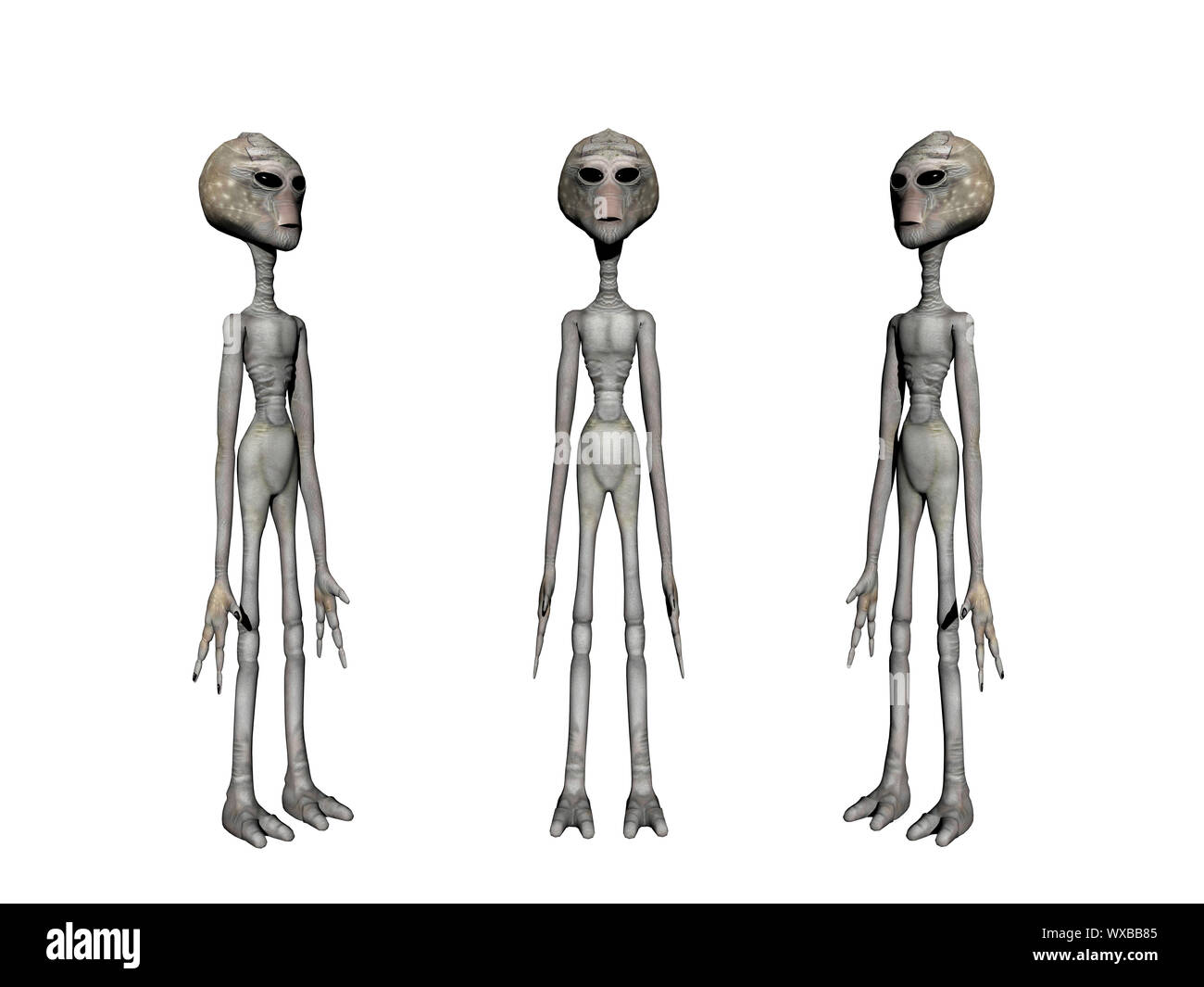 arid aliens of delicate physique Stock Photo