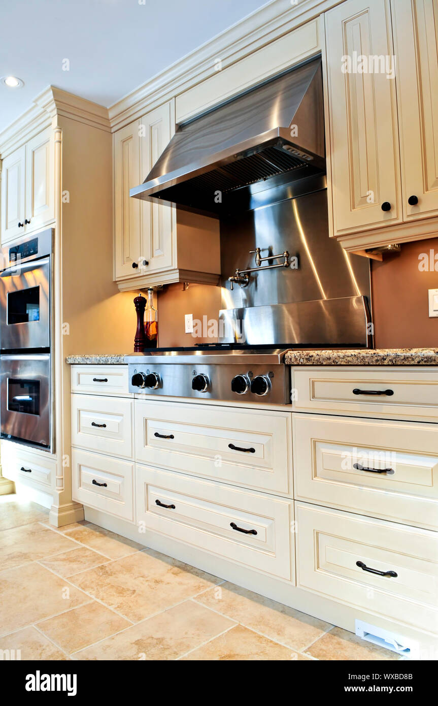 Interior of modern luxury kitchen with stainless steel appliances Stock ...