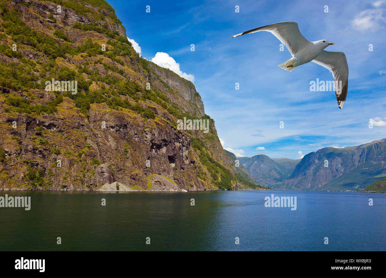 Fjord Naeroyfjord - Norway Stock Photo - Alamy