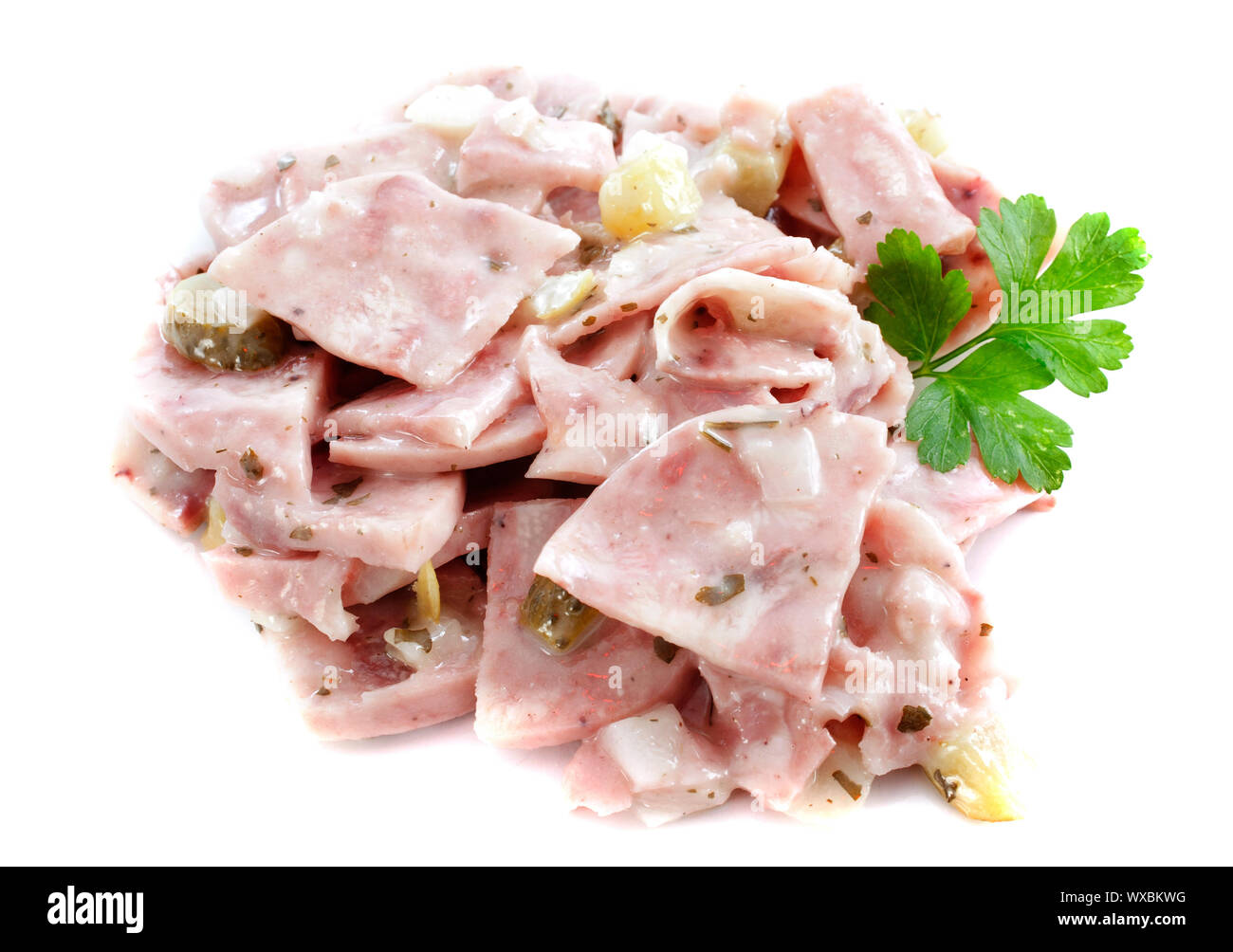 French beef and pork headcheese in front of white background Stock
