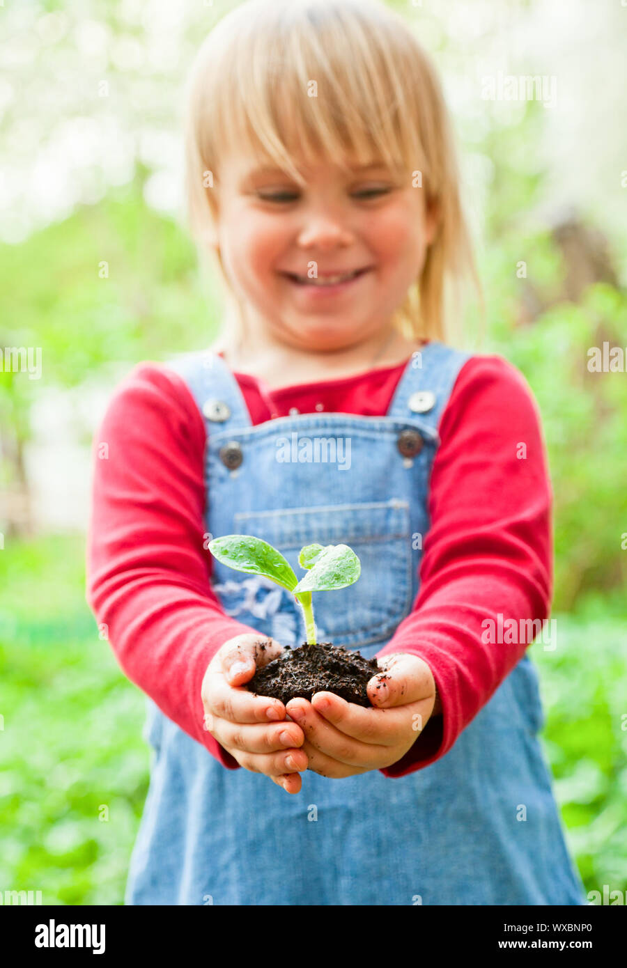 Little girl holding seeding with ground Stock Photo