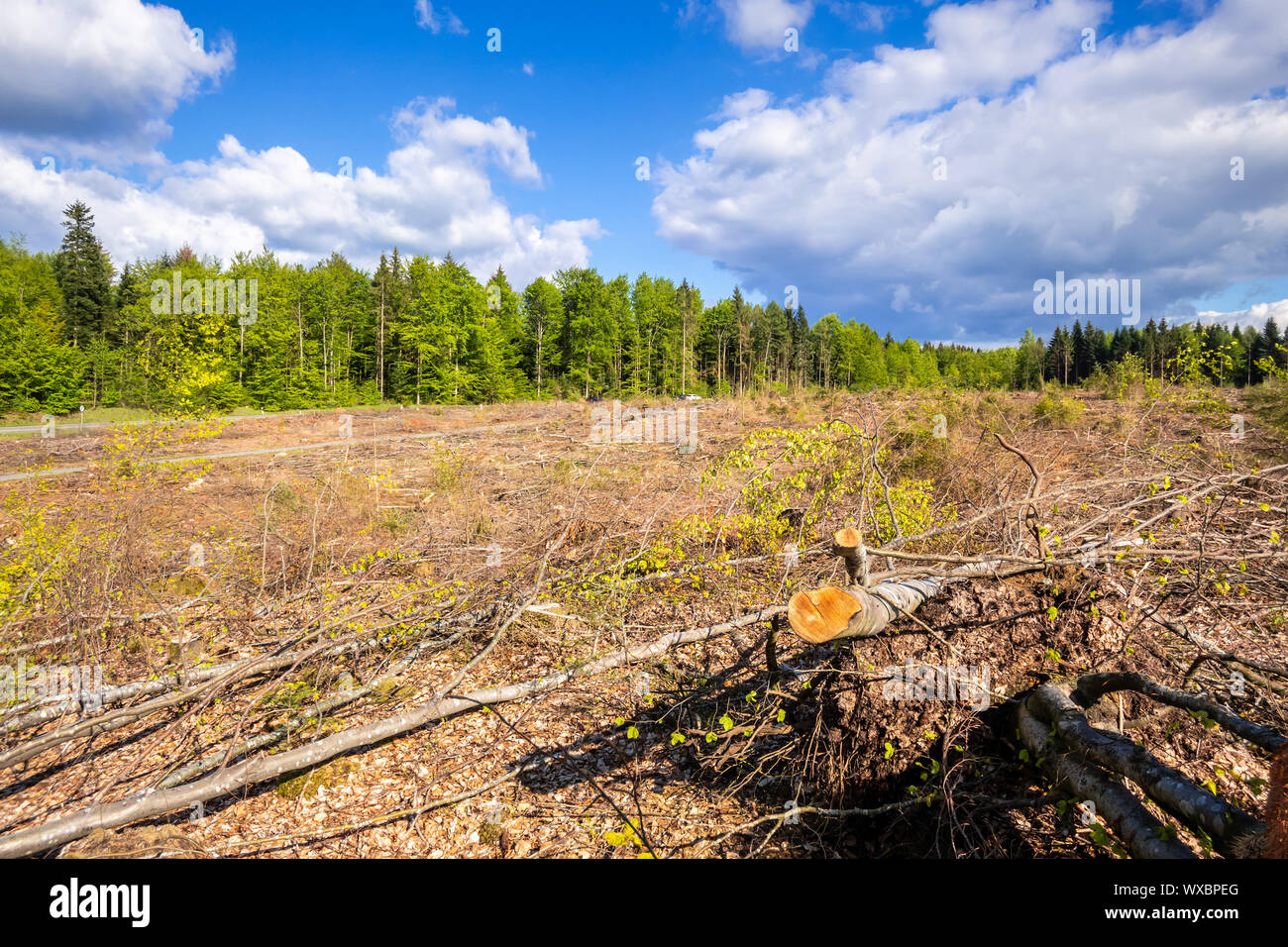 Empty destroyed hi-res stock photography and images - Alamy