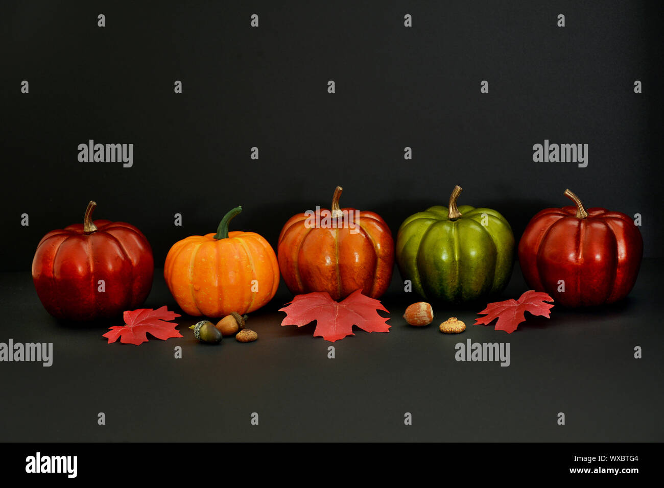 Vivid ornamental pumpkins and leaves in an Autumn display on black ...