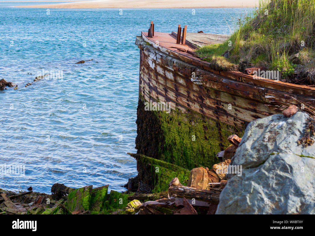 The prow of a big old ship, overgrown with moss and bushes. Nature takes its toll, destroying what man has created. Nature absorbs the old wooden ship Stock Photo
