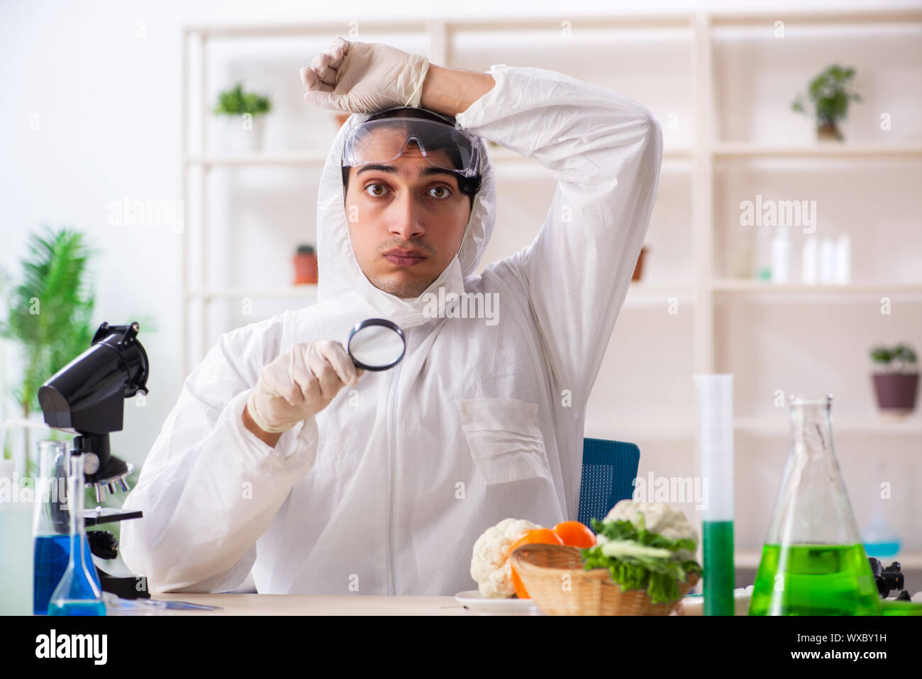 Scientist working in lab on GMO fruits and vegetables Stock Photo Alamy