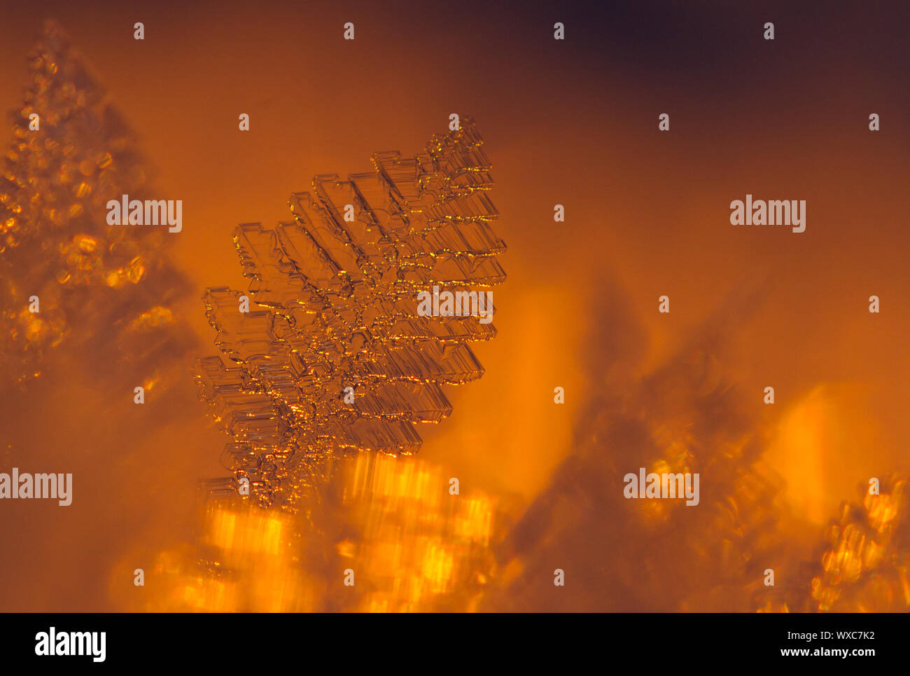 Closeup ice crystal Stock Photo Alamy