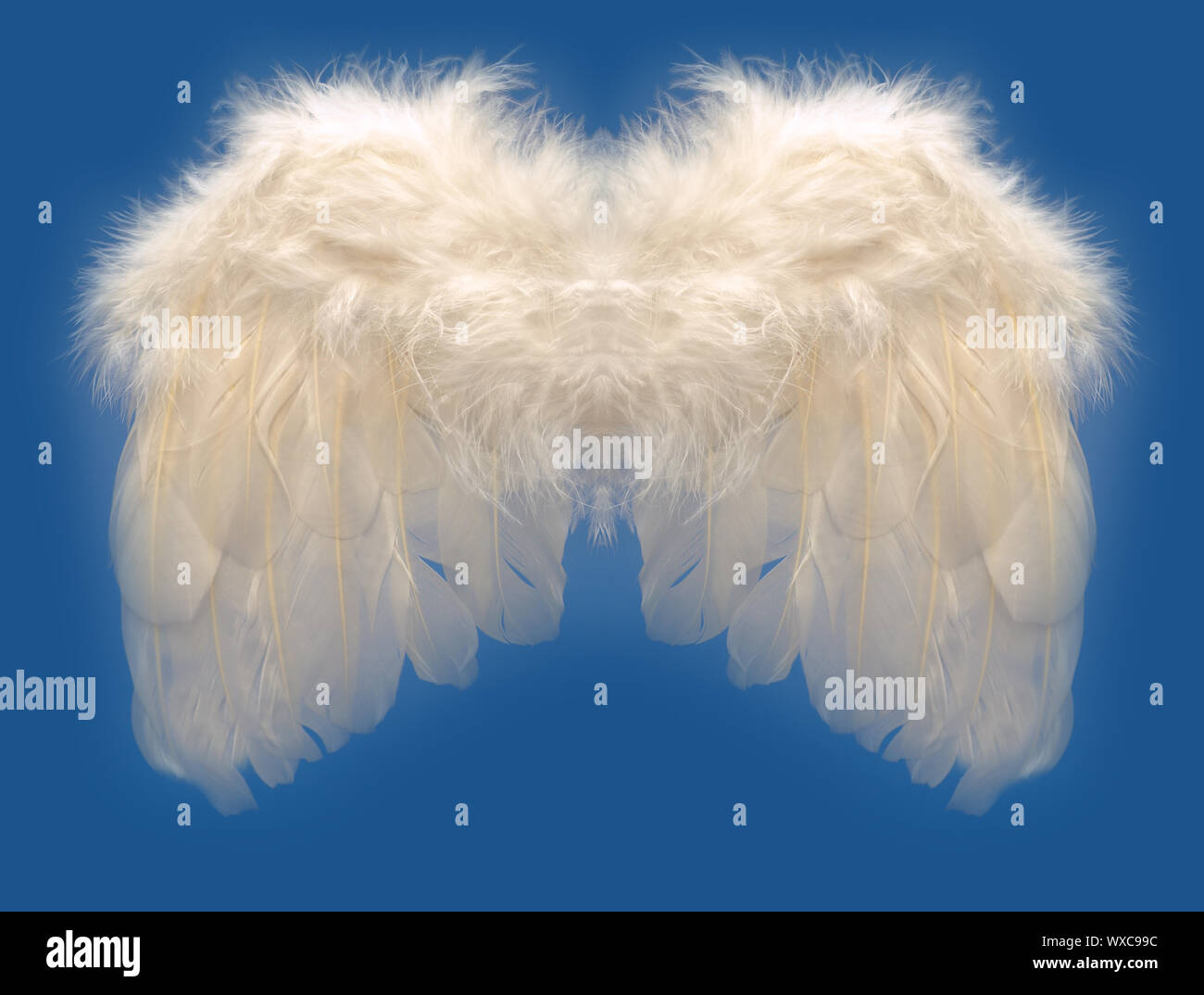 Feather Angels Wings Feather Angels Wings