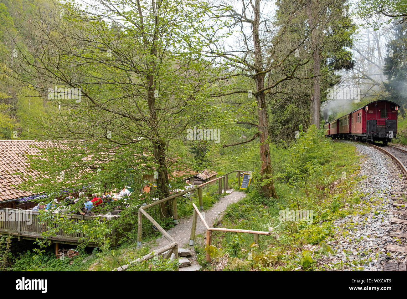 Railway romance in the Selketal Harz narrow-gauge railways in the Harz Mountains Stock Photo