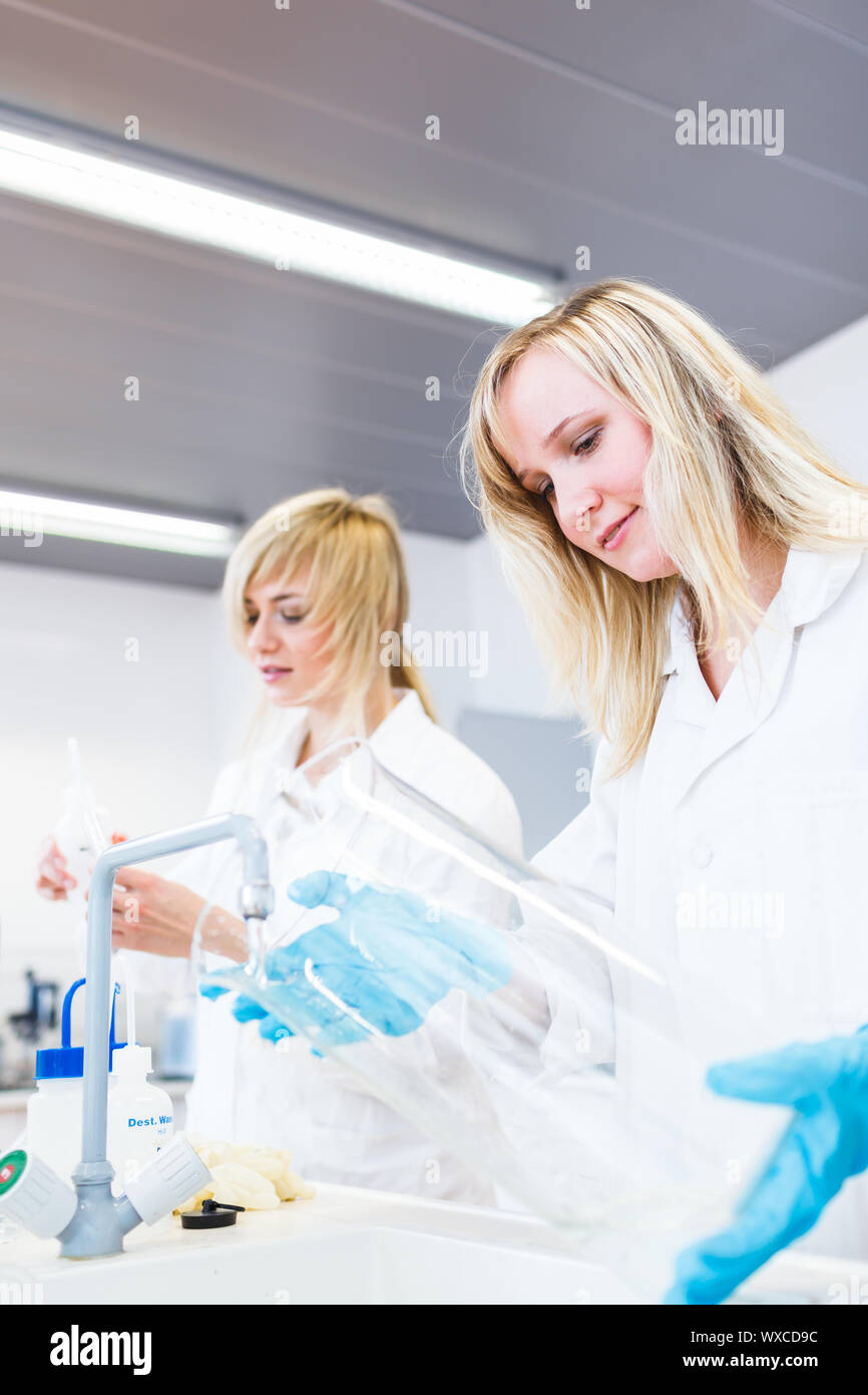 Two female researchers working in a laboratory (color toned image Stock