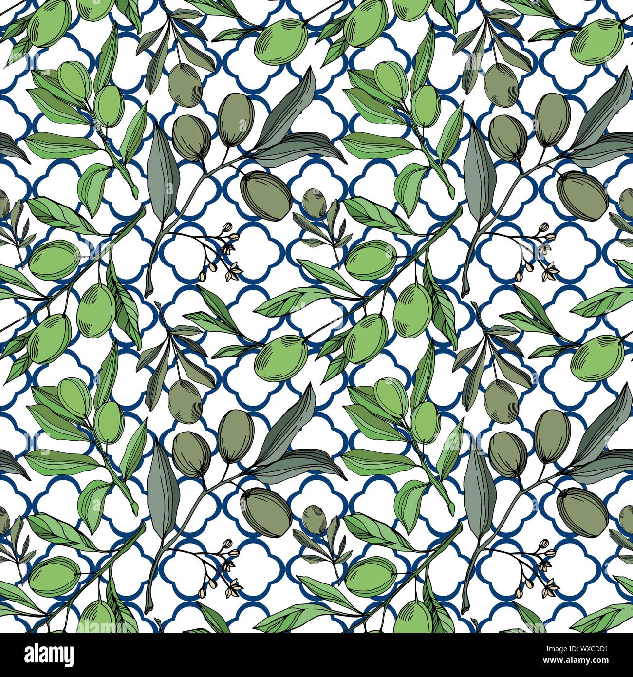 Vector Olive branch with fruit. Black and white engraved ink art ...