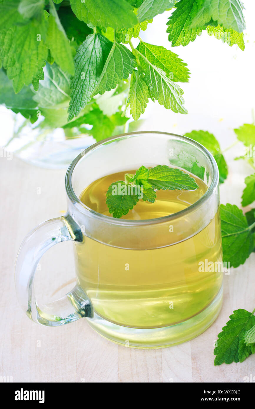 Mint tea with fresh mint leaves Stock Photo - Alamy