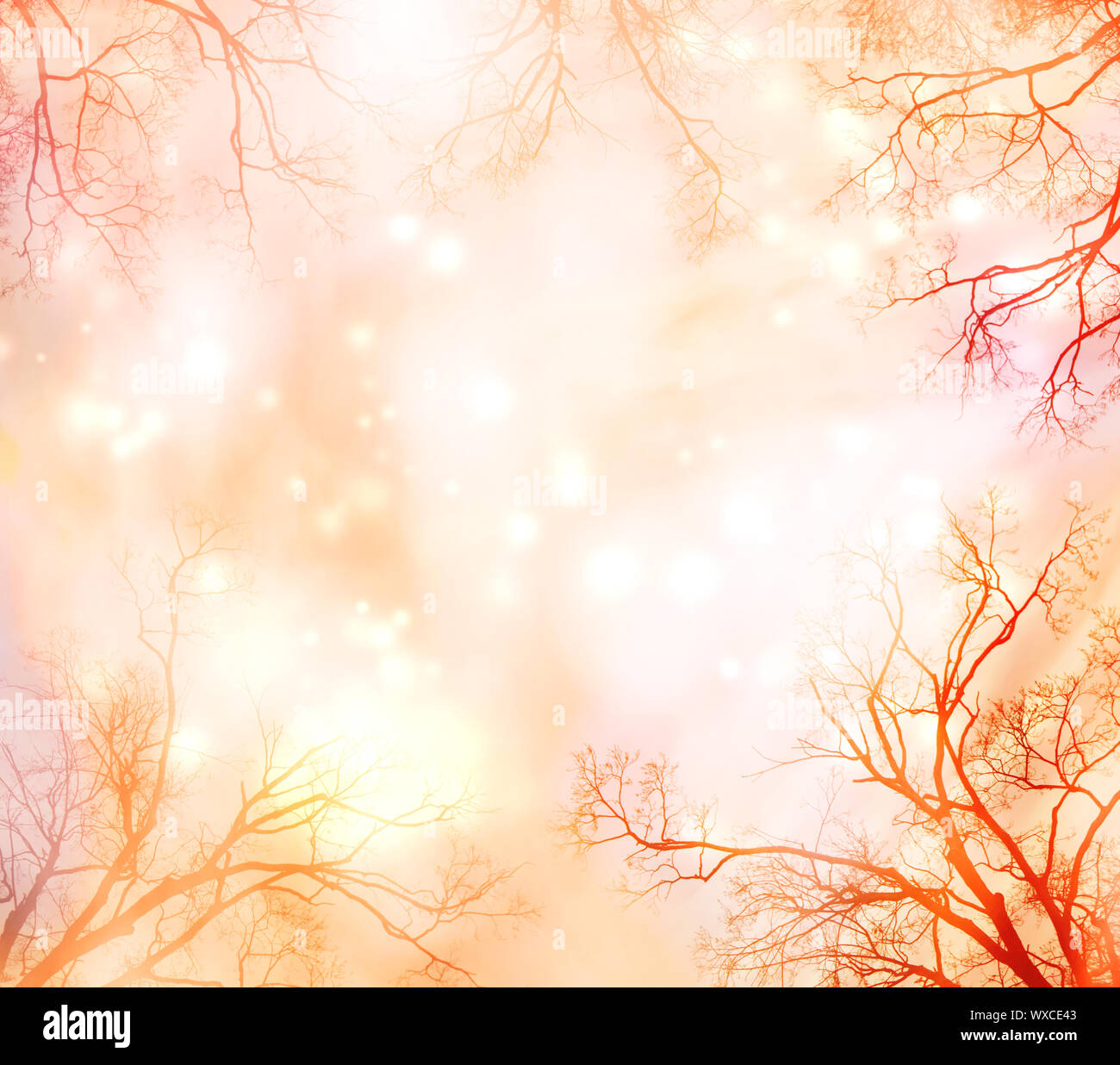 Abstract lights background with tree border (glowing pale orange, red