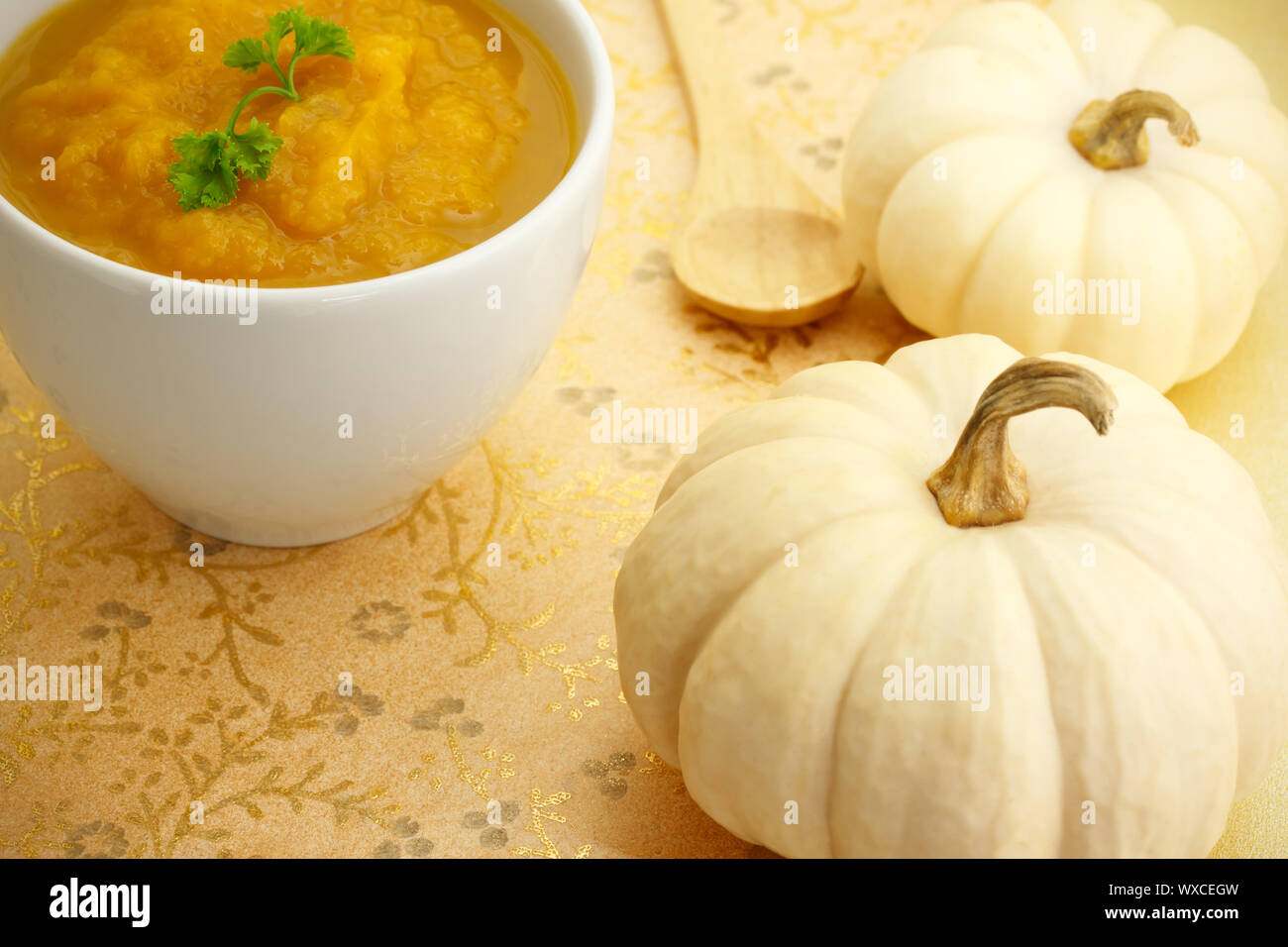 Pumpkin soup with white pumpkins on gold background Stock Photo - Alamy