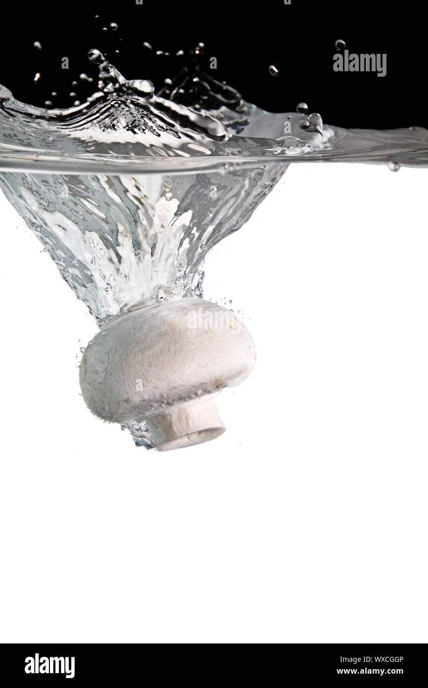 Fresh white mushroom splashing hi-res stock photography and images - Alamy