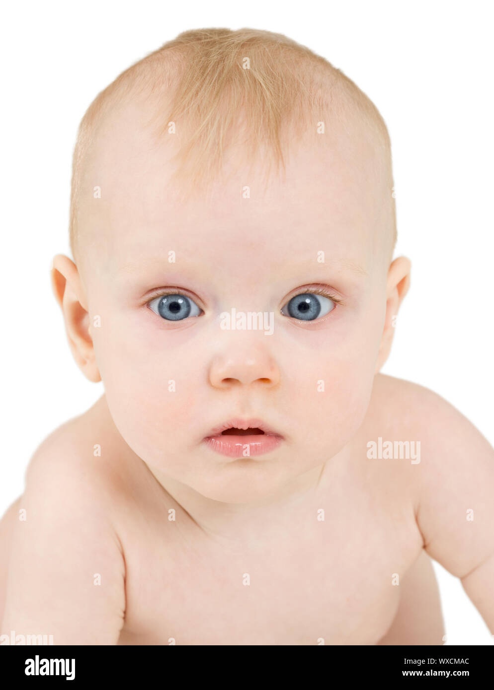 Portrait of a baby, isolated on a white background Stock Photo - Alamy