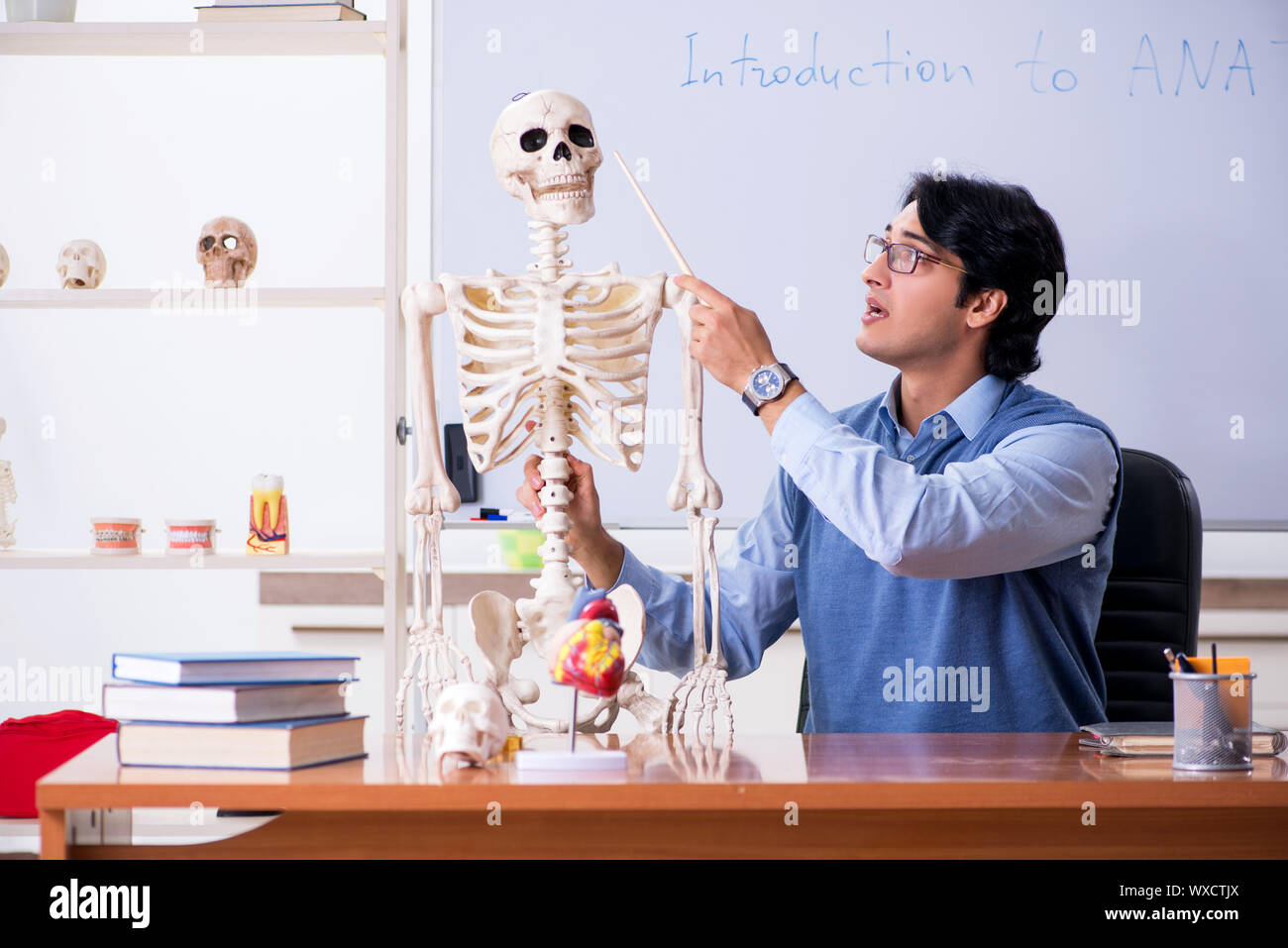 Young lecturer teacher teaching anatomy Stock Photo Alamy