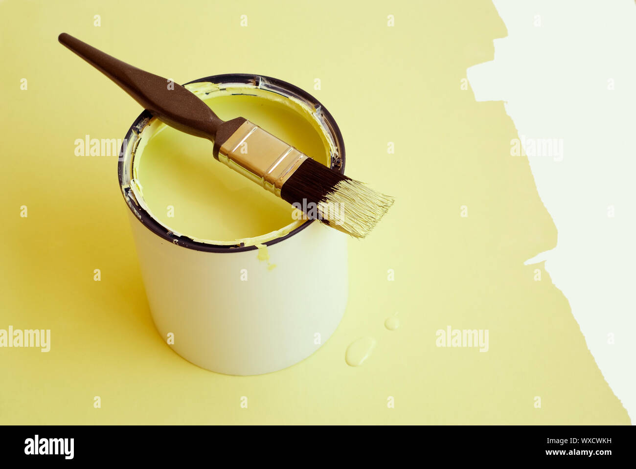 Home improvement paint brush on paint tin Stock Photo Alamy