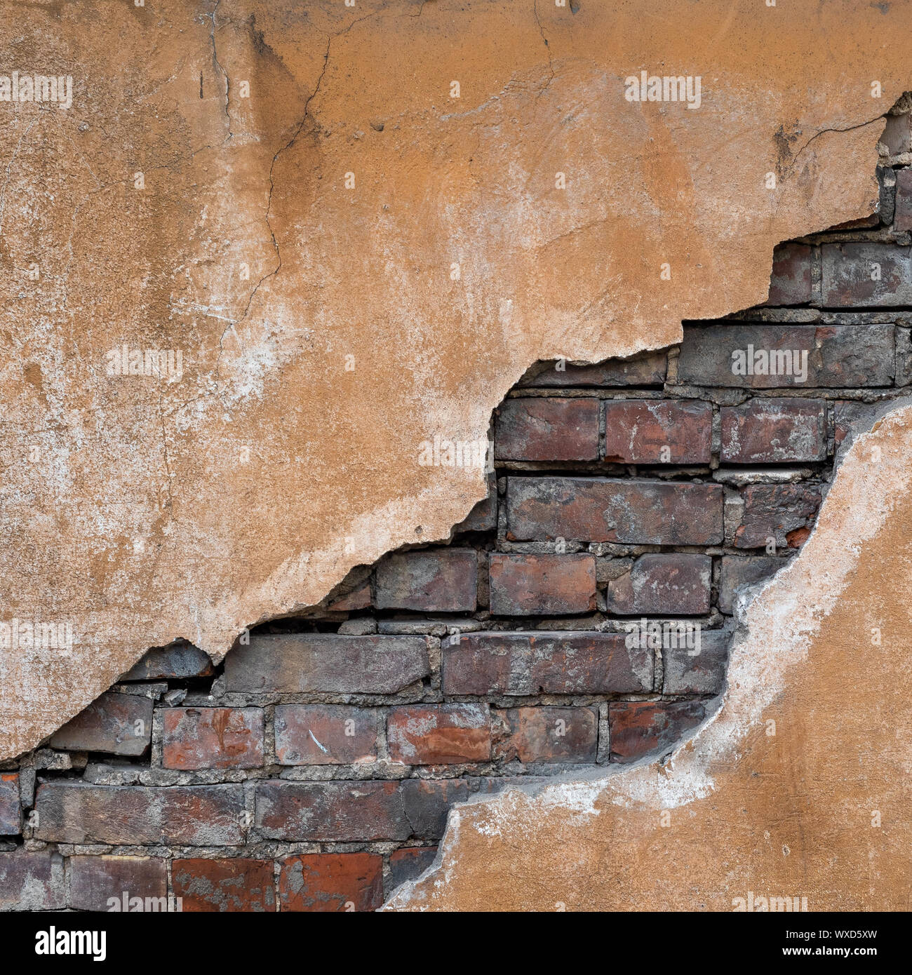 Old grunge brick wall. Nice vintage background. Stock Photo