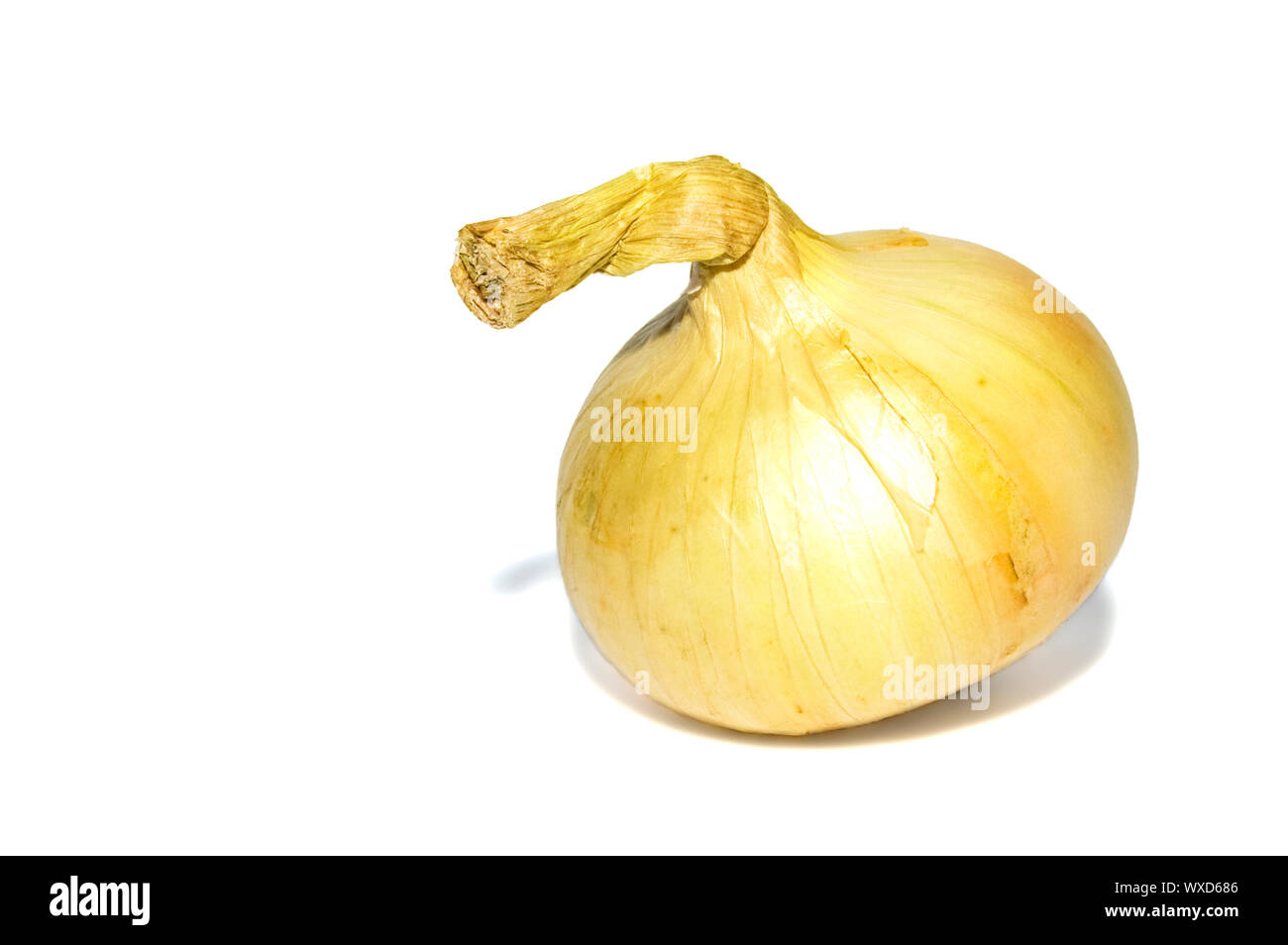 A onion on a white background Stock Photo - Alamy