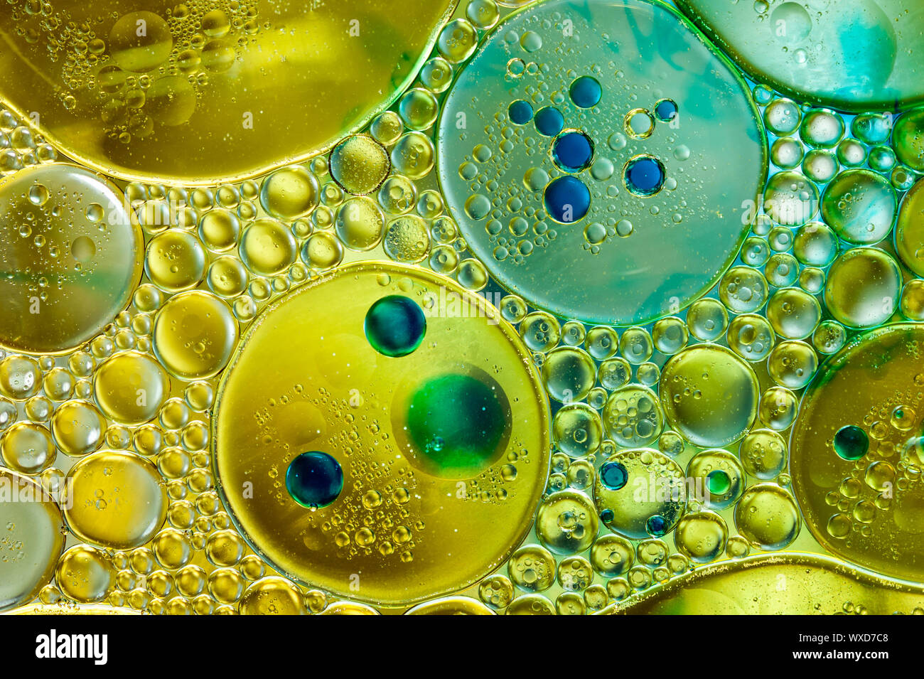 Colourful Oil Ink Bubbles And Drops Abstract Template Mixed Texture Background Wallpaper Pattern Stock Photo Alamy