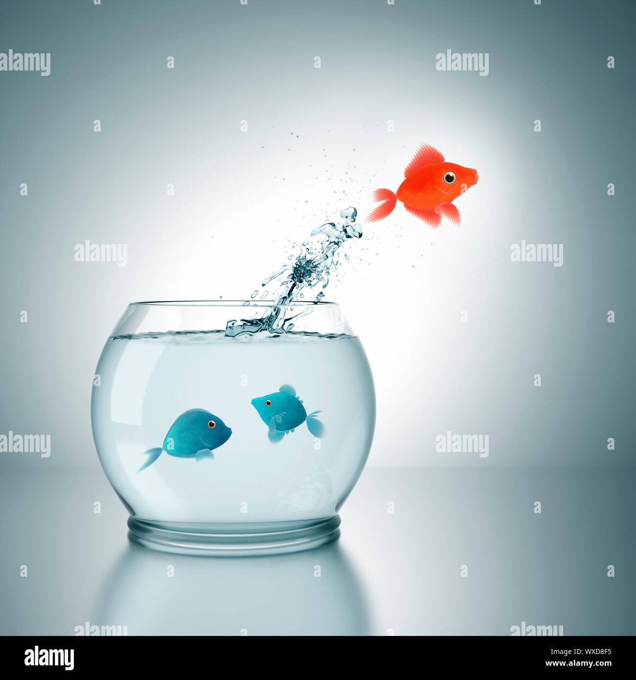 A fishbowl with a red fish jumping out of the water Stock Photo Alamy