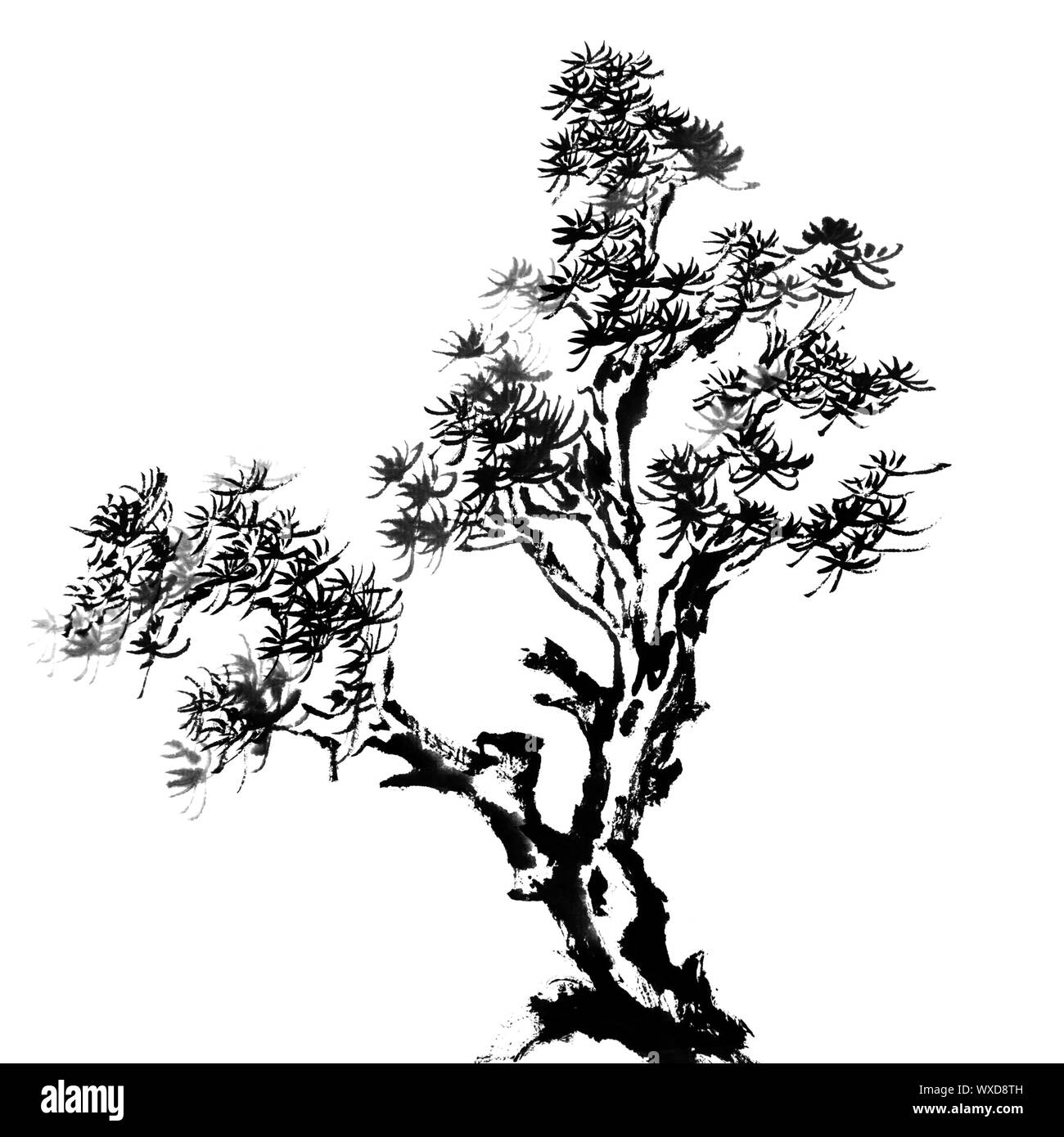 Chinese traditional ink painting, pine tree on white background Stock Photo  - Alamy
