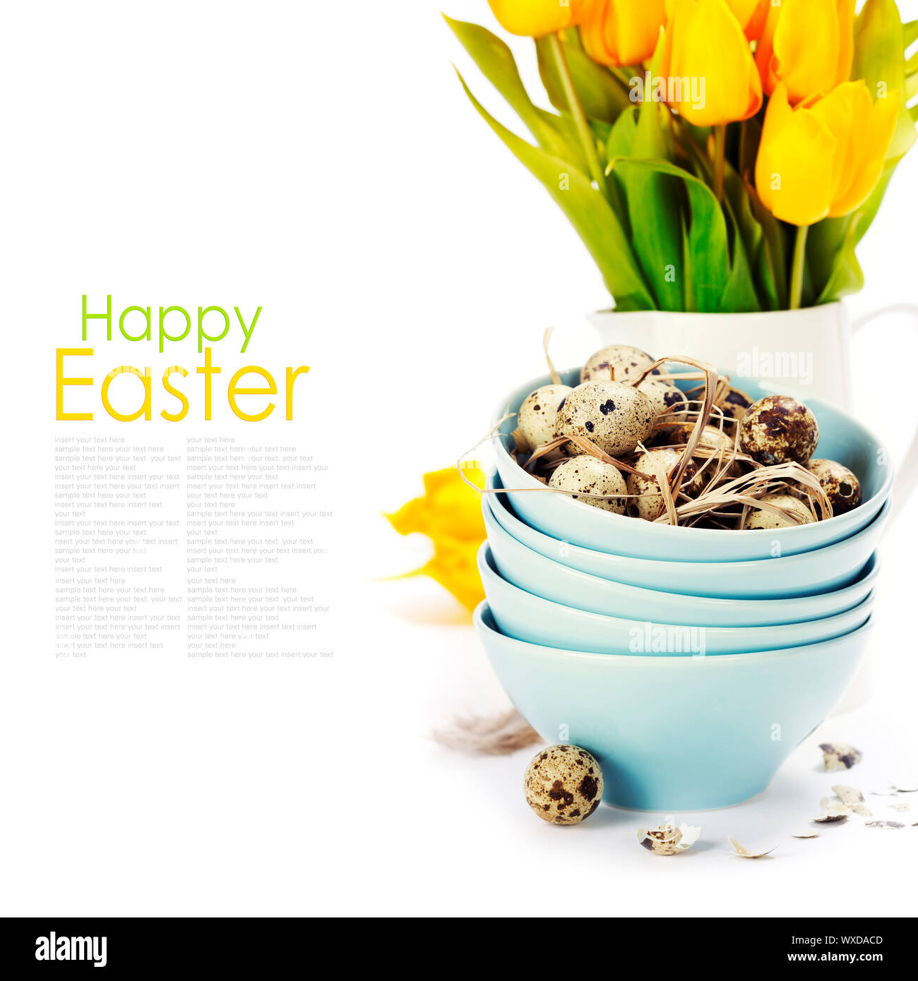 easter composition with eggs and spring flowers on white background ...