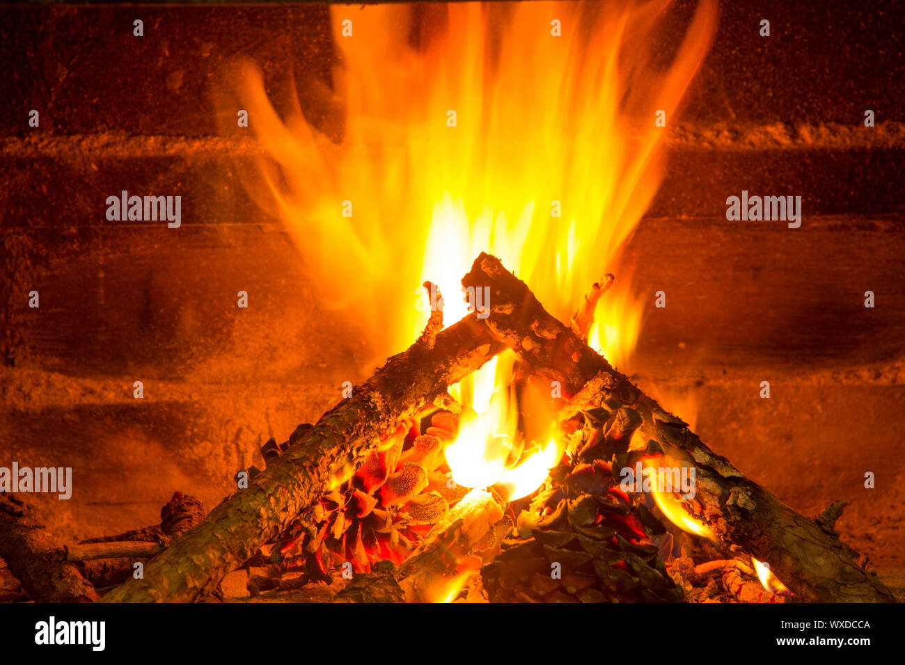 burning firewood in chimney with pine cones and fire Stock Photo Alamy
