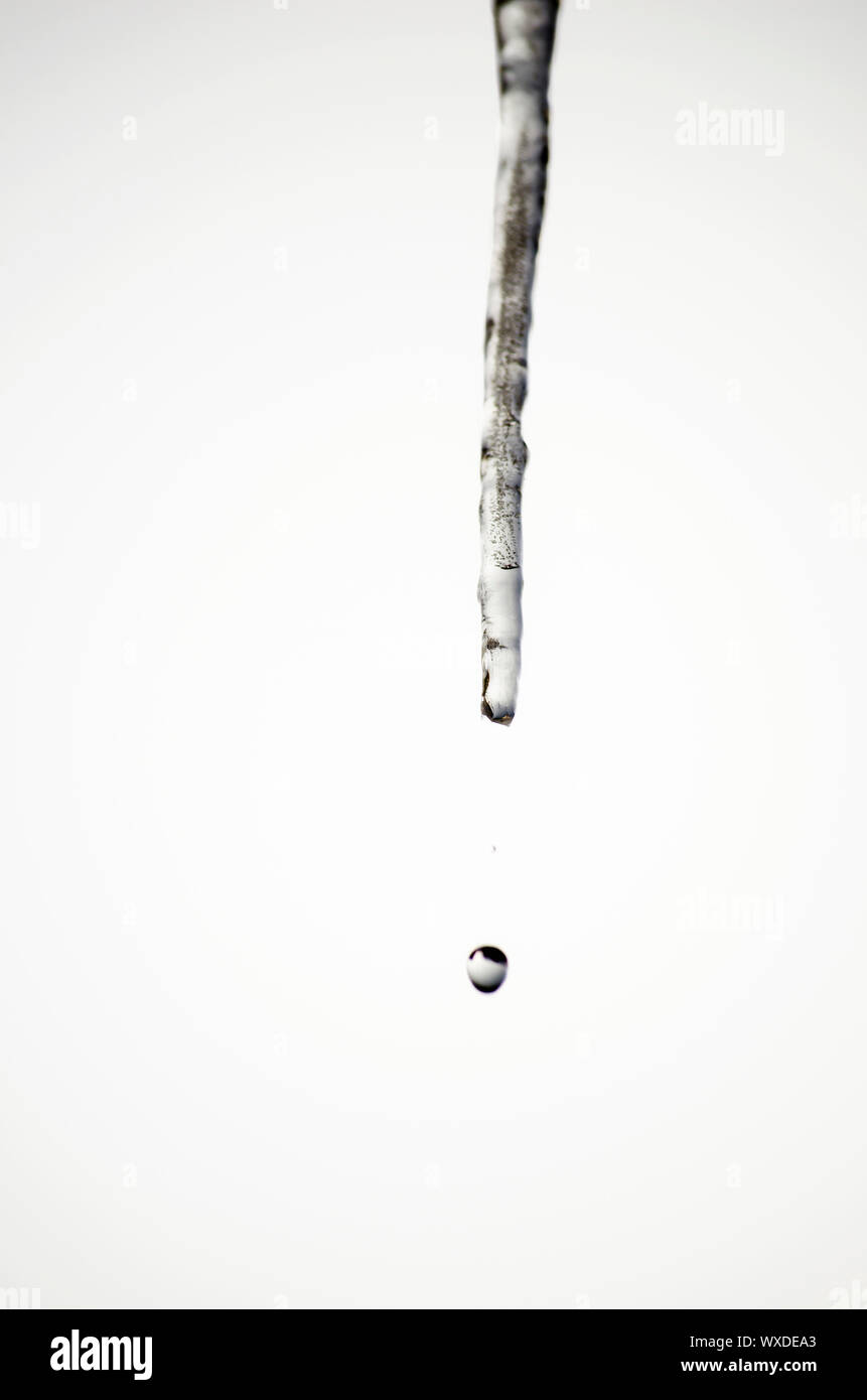 Single melting icicle with a drop falling down. Stock Photo