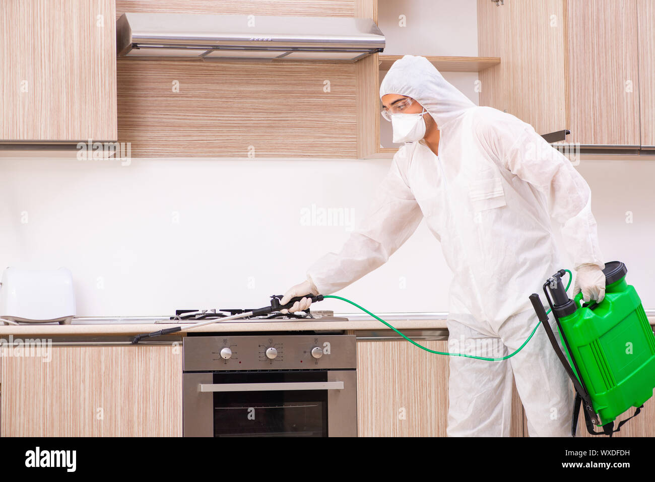 Professional contractor doing pest control at kitchen Stock Photo Alamy