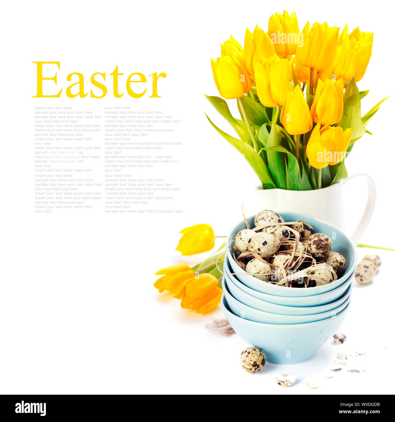 easter composition with eggs and spring flowers on white background ...