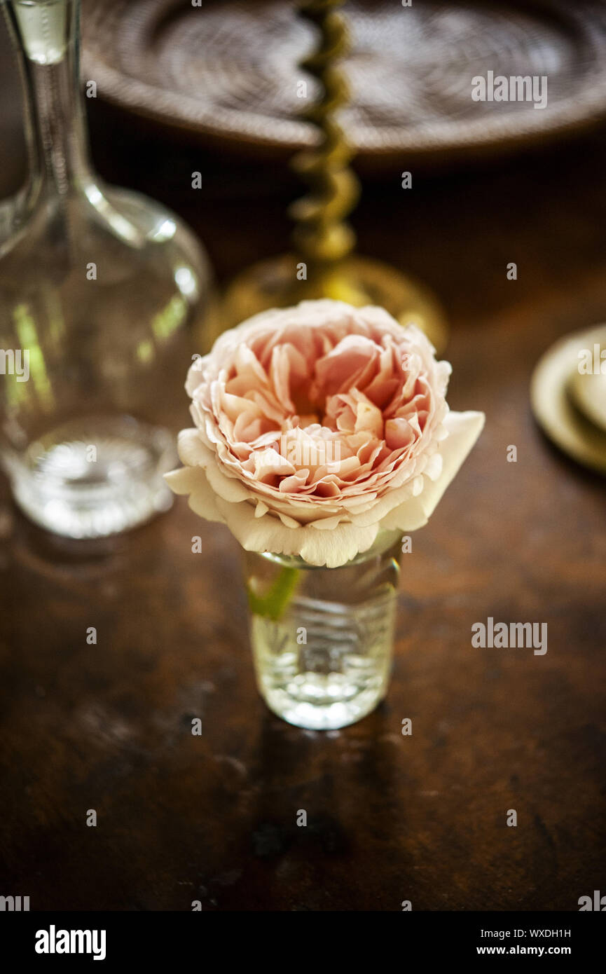 pink rose flower cutting in crystal vase on table with candle stick and vase Stock Photo