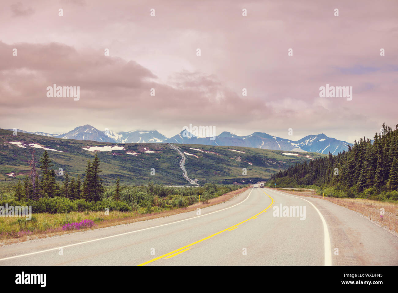 Road in Alaska Stock Photo - Alamy