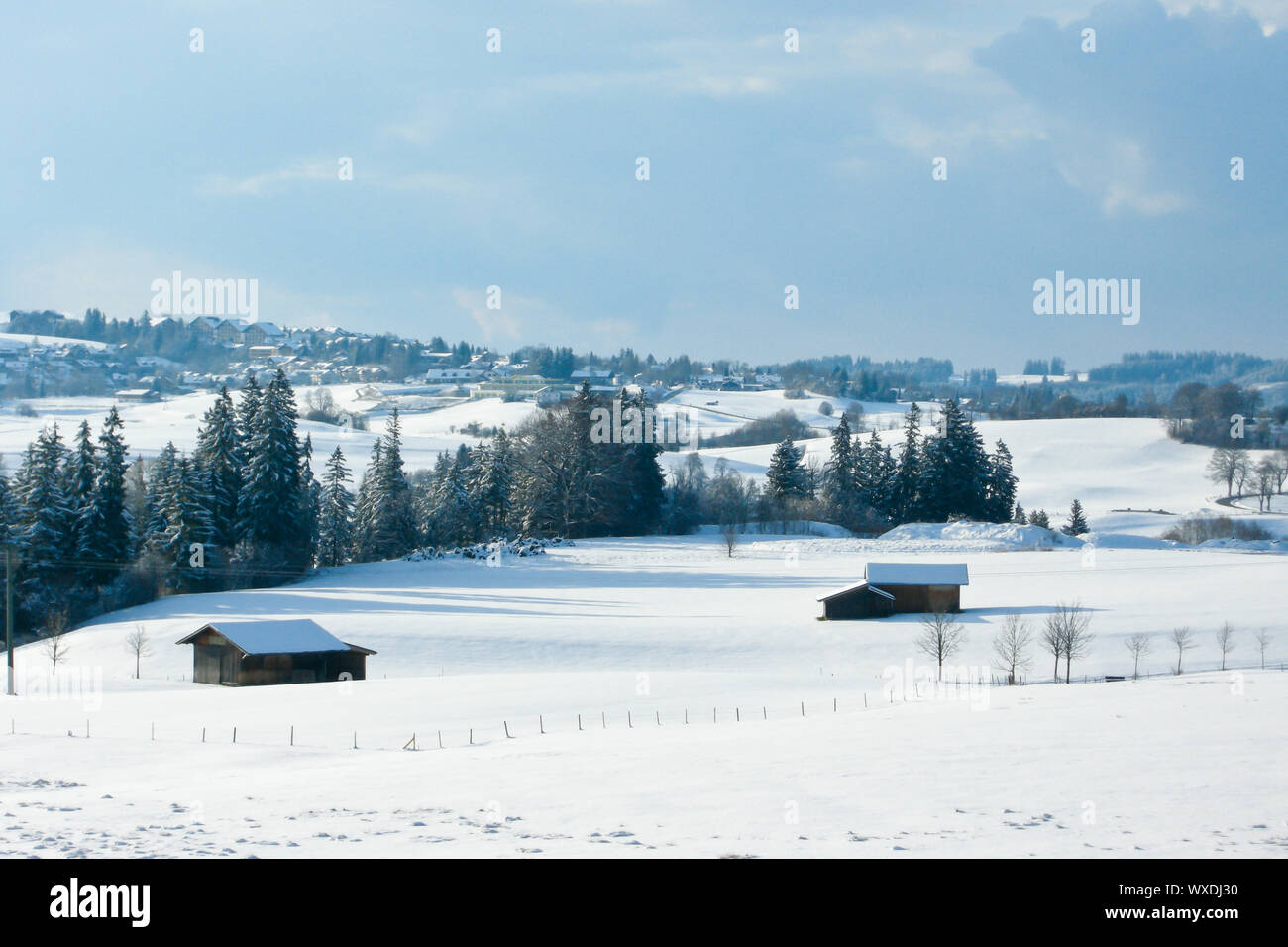 trees forest snow in winter landscape background Stock Photo - Alamy