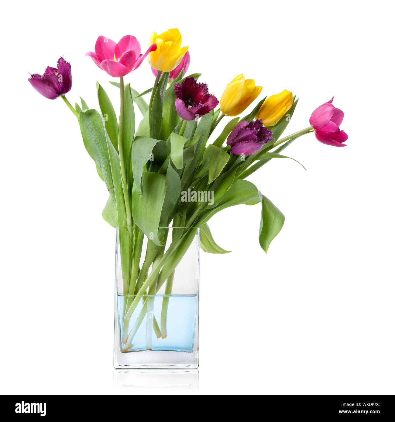 bouquet from tulips in glass vase isolated on white Stock Photo - Alamy