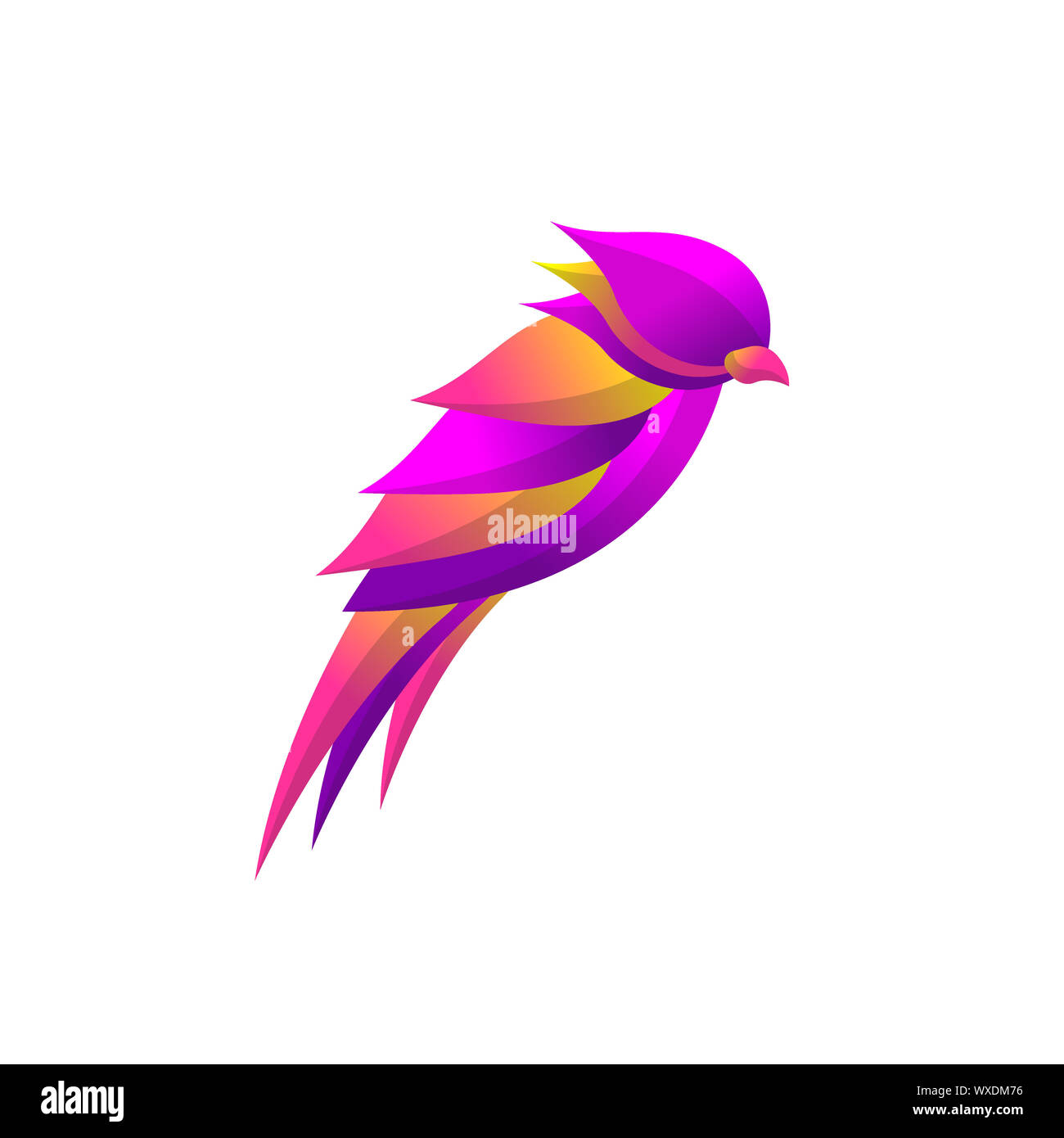 Photography Logo Business Branding Feather Logo Bird Logo Design ...