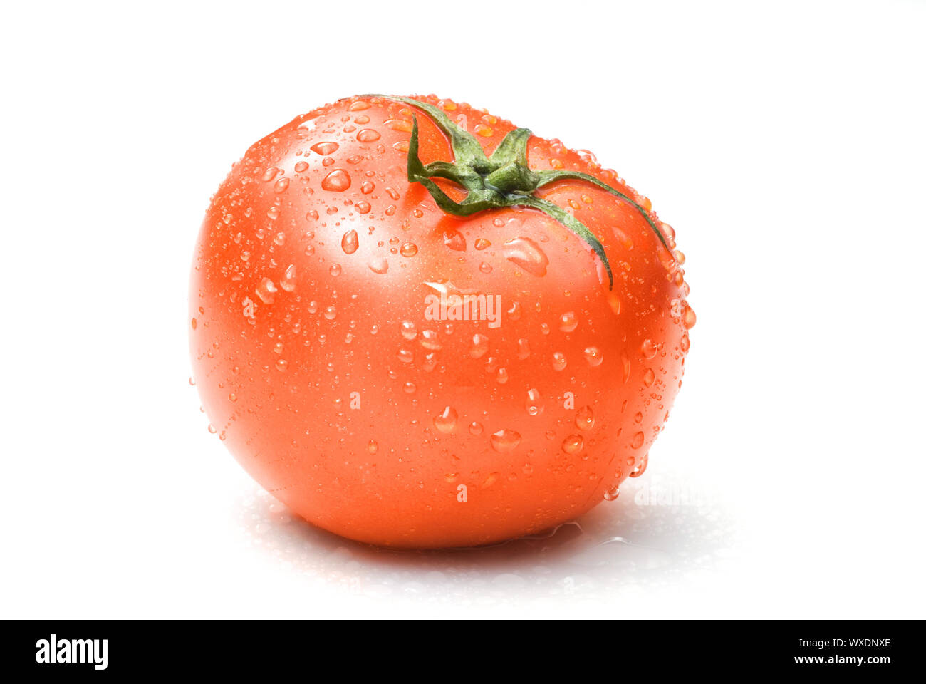 red tomato with water drops isolated on white Stock Photo - Alamy