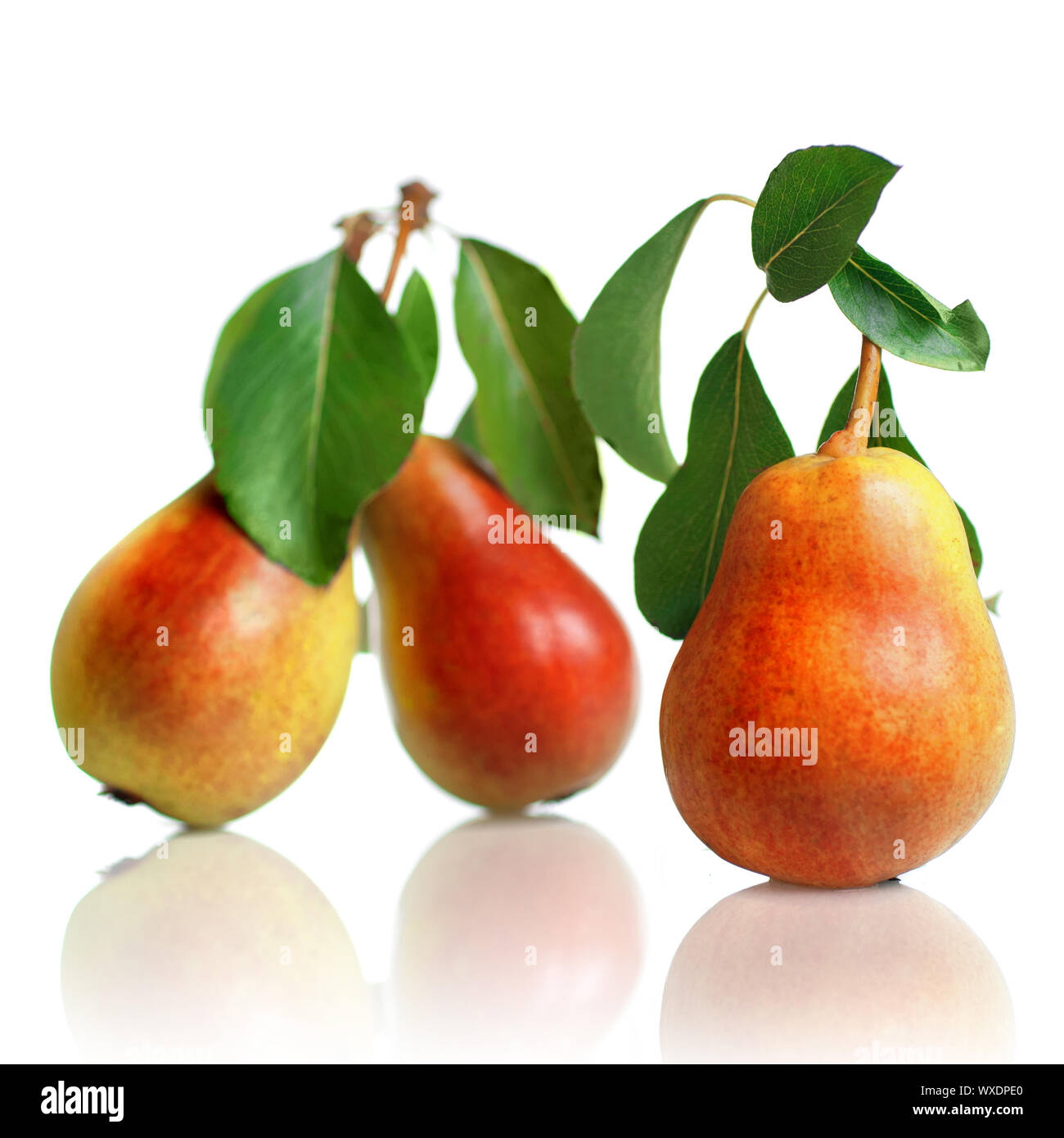 red pears with leaves isolated on white Stock Photo Alamy