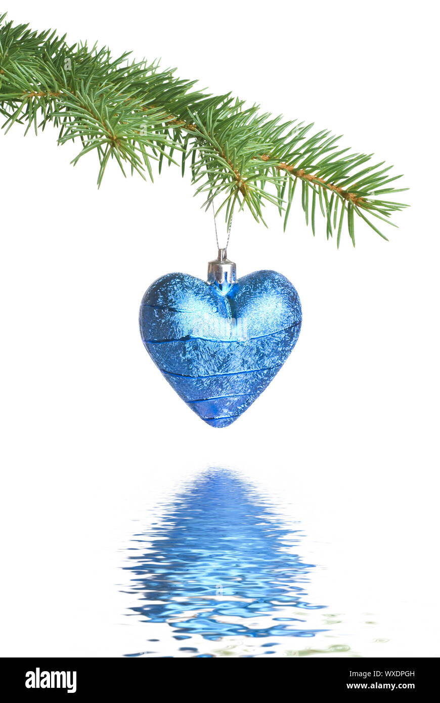 Christmas ball on fir tree branch with reflection Stock Photo