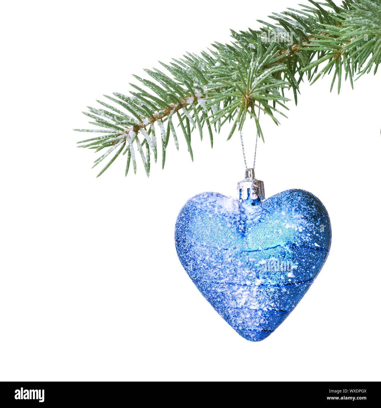 Christmas ball and snow on fir tree branch isolated on white Stock ...