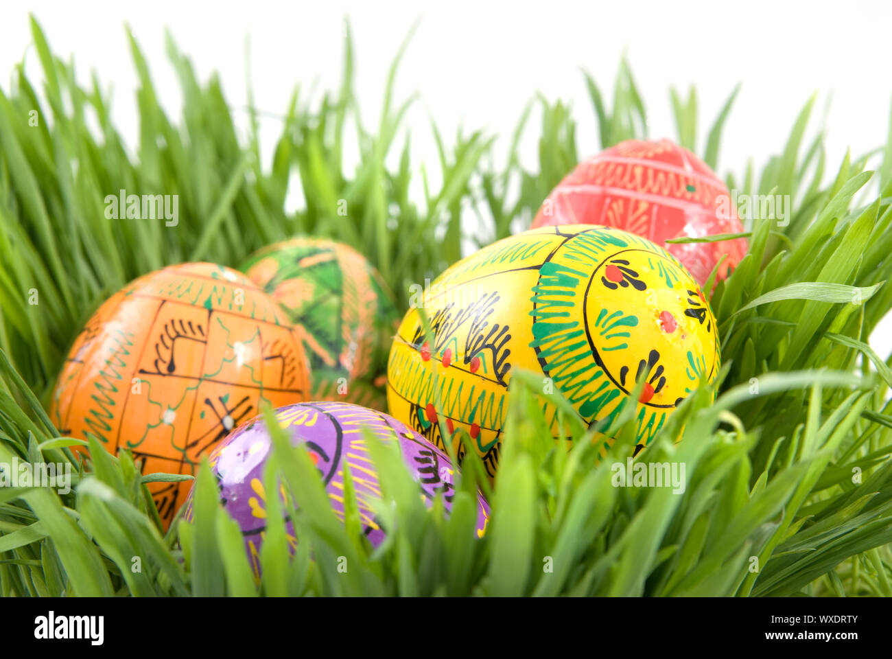 color easter eggs in nest from green grass on white Stock Photo - Alamy