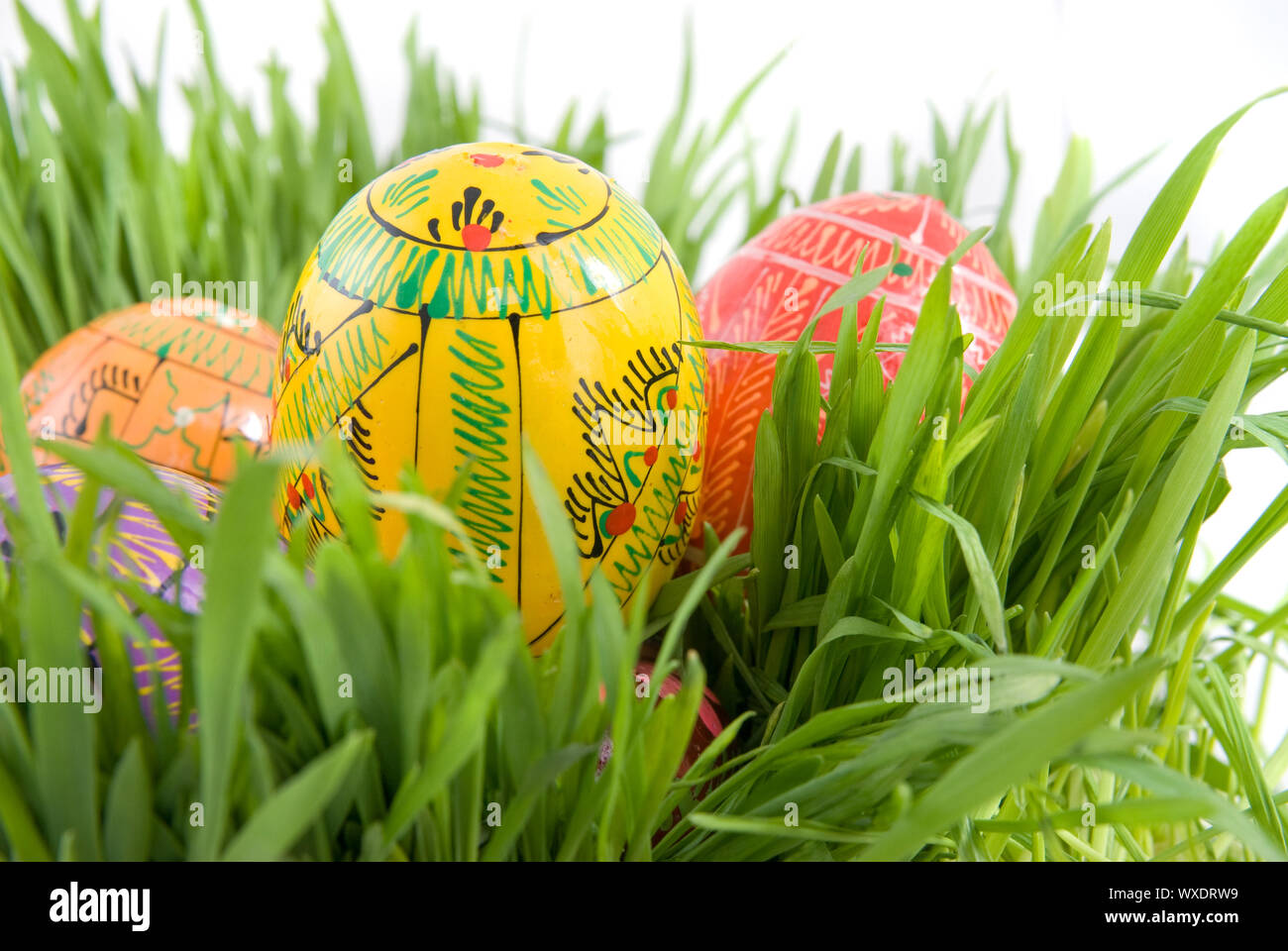 color easter eggs in nest from green grass on white Stock Photo - Alamy