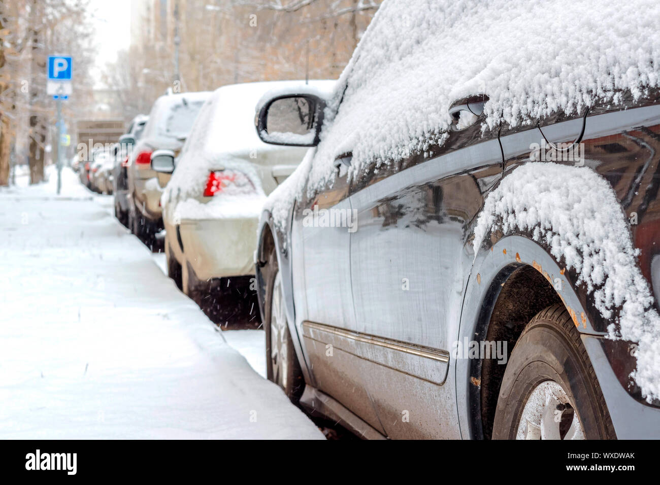 Snow on cars after snowfall Stock Photo Alamy