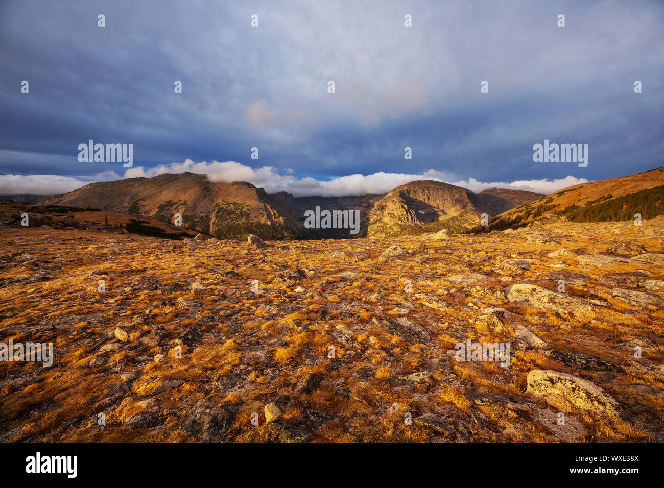 Rocky mountains road forest usa hi-res stock photography and images - Alamy