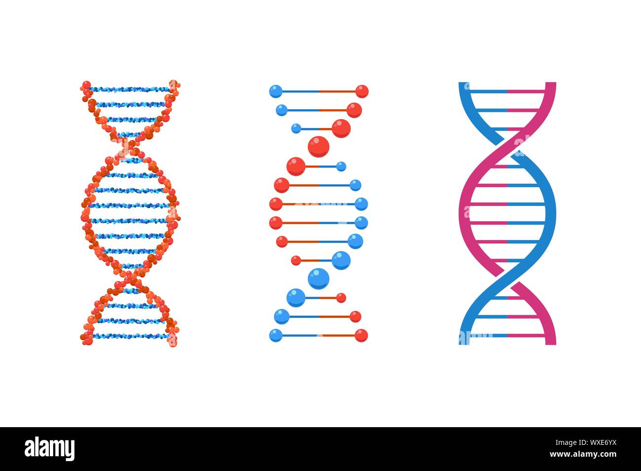 DNA spiral collection isolated. Vector deoxyribonucleic acid set. Modern simple microbiological genetic helix elements on white background Stock Vector