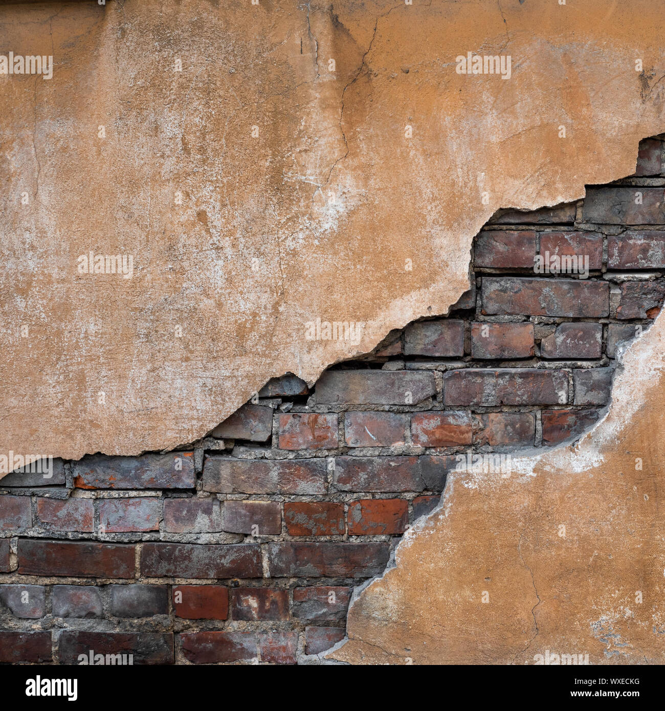 Old grunge brick wall. Nice vintage background. Stock Photo