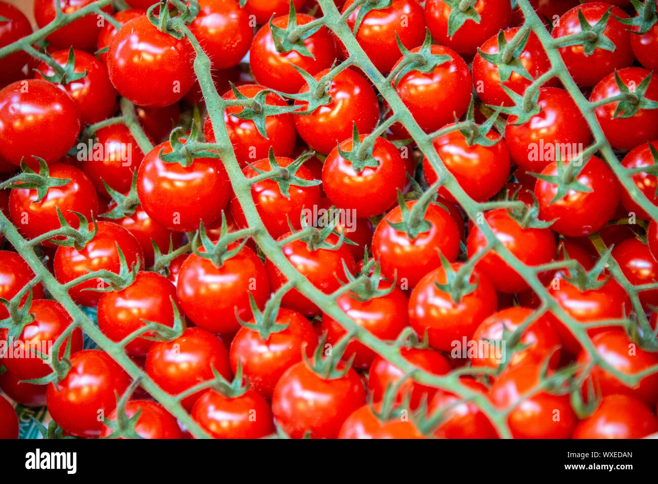 Tomatoes at the market display stall Stock Photo - Alamy